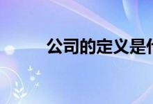 公司的定义是什么(公司的定义)