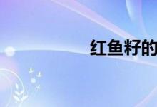红鱼籽的小说（红鱼）
