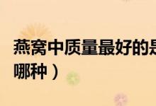 燕窝中质量最好的是什么燕（燕窝中最珍贵是哪种）