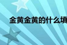 金黄金黄的什么填空（金黄金黄的什么）