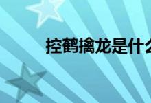 控鹤擒龙是什么武术（控鹤擒龙）