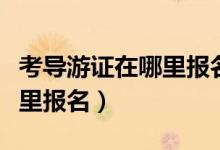考导游证在哪里报名哪个网址（考导游证在哪里报名）