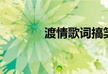 渡情歌词搞笑版（渡情歌词）
