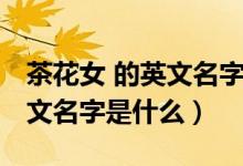 茶花女 的英文名字是什么意思（茶花女 的英文名字是什么）