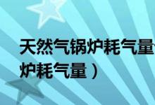 天然气锅炉耗气量计算公式 标准（天然气锅炉耗气量）