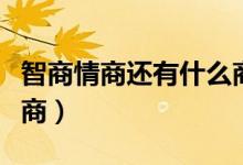 智商情商还有什么商五商（智商情商还有什么商）