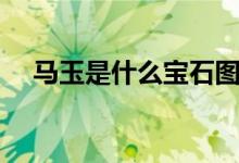 马玉是什么宝石图片（马玉是什么宝石）