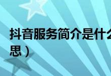 抖音服务简介是什么意思（服务主体是什么意思）