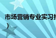 市场营销专业实习报告（什么是市场营销专业）