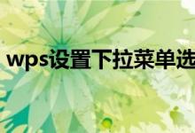 wps设置下拉菜单选项（设置下拉菜单选项）