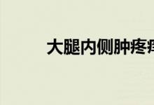 大腿内侧肿疼痒（大腿内侧肿疼）