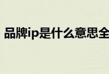 品牌ip是什么意思全称（品牌ip是什么意思）