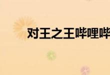 对王之王哔哩哔哩（对王之王台词）
