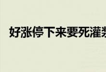 好涨停下来要死灌浆（惩罚女孩子的方法）