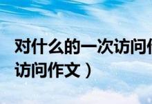 对什么的一次访问作文400字（对什么的一次访问作文）