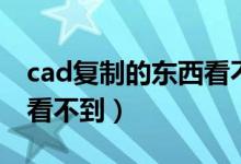 cad复制的东西看不到图形（cad复制的东西看不到）