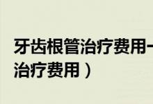 牙齿根管治疗费用一般多少钱一颗（牙齿根管治疗费用）