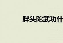胖头陀武功什么水平（胖头陀）