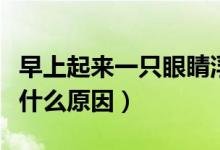 早上起来一只眼睛浮肿（早上起来眼睛浮肿是什么原因）