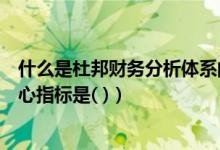 什么是杜邦财务分析体系的核心（杜邦财务分析体系中的核心指标是( )）