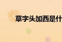 草字头加西是什么字（草字头加西）