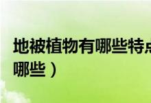 地被植物有哪些特点及选择标准（地被植物有哪些）