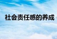 社会责任感的养成（成年人的社会责任感）