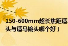 150-600mm超长焦距适马镜头和腾龙镜头哪个好（腾龙镜头与适马镜头哪个好）