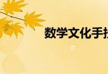 数学文化手抄报（数学文化）