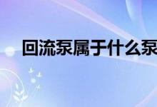 回流泵属于什么泵（回流泵是什么意思）
