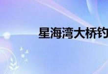 星海湾大桥钓鱼（星海湾大桥）