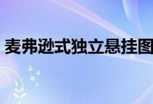 麦弗逊式独立悬挂图解(麦弗逊式独立悬挂)