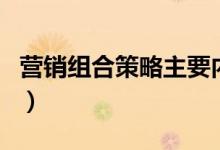 营销组合策略主要内容（营销组合策略怎么写）
