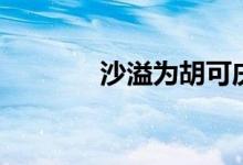 沙溢为胡可庆生（胡可前夫）