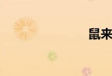 鼠来宝3在线