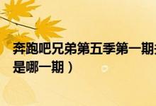 奔跑吧兄弟第五季第一期关晓彤（奔跑吧兄弟第五季关晓彤是哪一期）