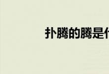 扑腾的腾是什么意思（扑腾）
