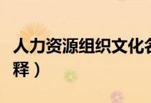 人力资源组织文化名词解释（组织文化名词解释）