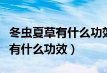 冬虫夏草有什么功效小孩可以吃吗（冬虫夏草有什么功效）