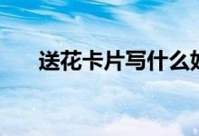 送花卡片写什么好（送花卡片写什么）