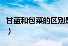 甘蓝和包菜的区别是什么（甘蓝和包菜的区别）