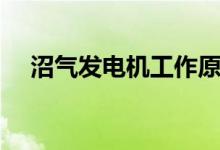 沼气发电机工作原理（小型沼气发电机）