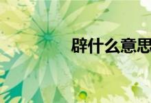 辟什么意思（pi什么意思）