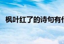 枫叶红了的诗句有什么（枫叶红了的诗句）