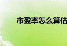 市盈率怎么算估值（市盈率怎么算）