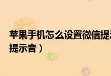 苹果手机怎么设置微信提示音铃声（苹果手机怎么设置微信提示音）
