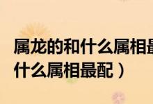 属龙的和什么属相最配婚姻最合适（属龙的和什么属相最配）
