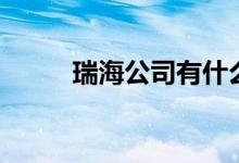 瑞海公司有什么背景（瑞海公司）