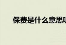 保费是什么意思呢(保费是什么意思)
