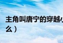 主角叫唐宁的穿越小说（小说唐宁墨霆全叫什么）